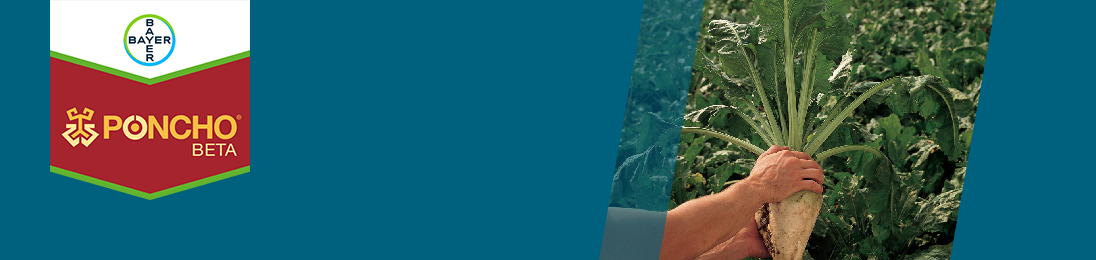 Poncho Beta brand tag with image of beet field